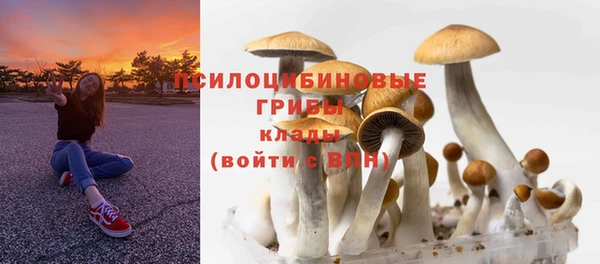 гидра Арсеньев