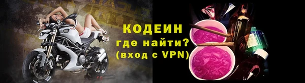 гидра Арсеньев