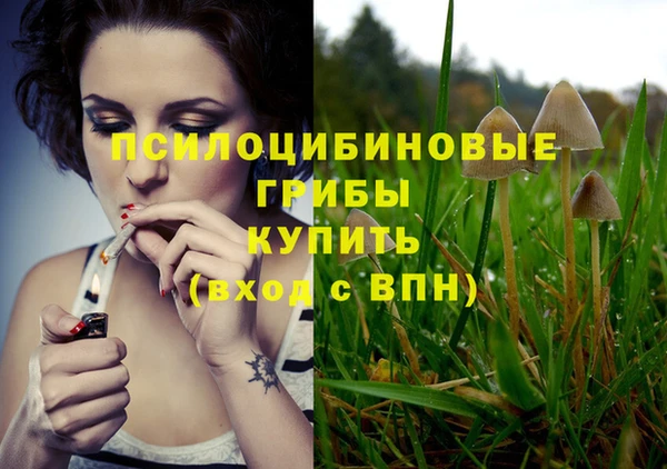 кокс Армянск