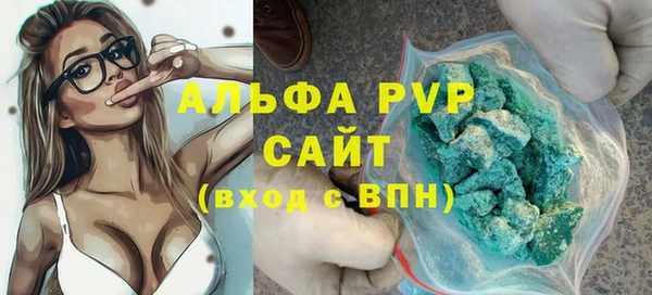 гидра Арсеньев